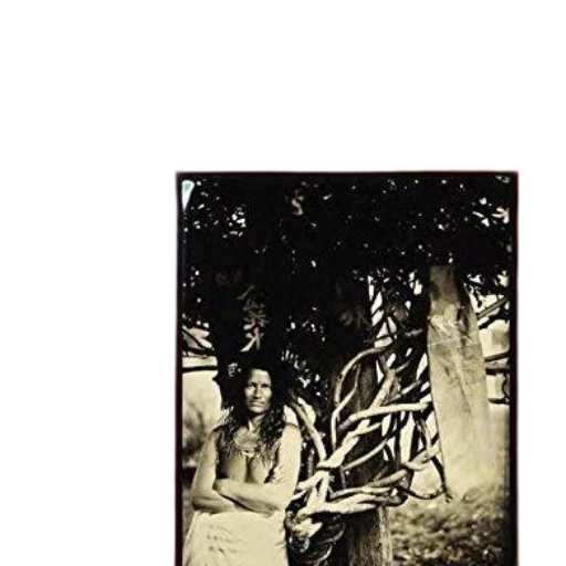 dress, staff, tree, hair transparent PNG cut-out
