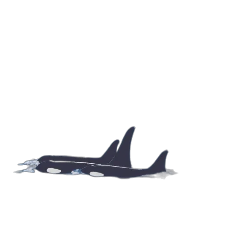 animal, creature, weapon, car transparent PNG cut-out