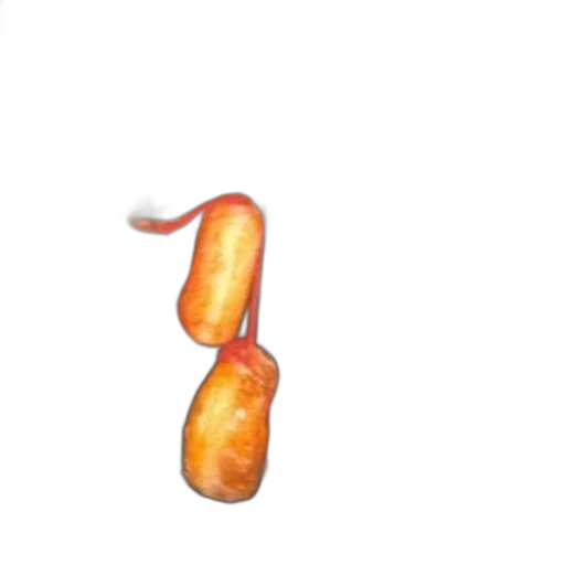 food, crown, weapon, staff transparent PNG cut-out