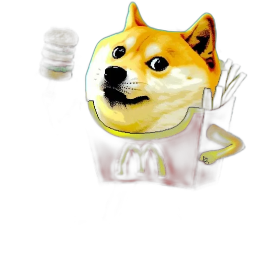 food, animal, mask, creature transparent PNG cut-out