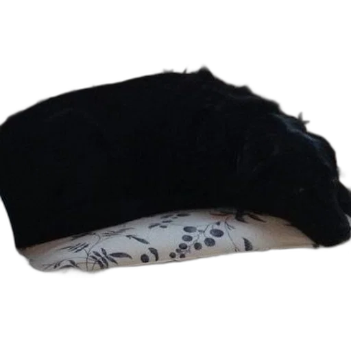hat, jacket, crown, mask transparent PNG cut-out