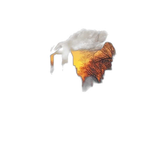 crown, dragon, hair, hat transparent PNG cut-out