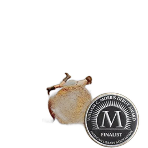 hair, jewelry, food, hat transparent PNG cut-out