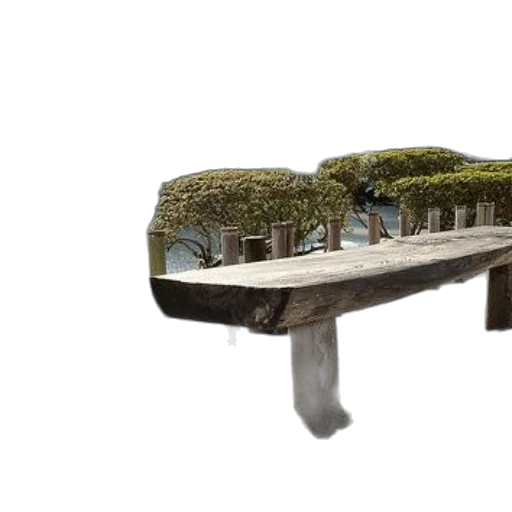 furniture, shoes, tree, crown transparent PNG cut-out