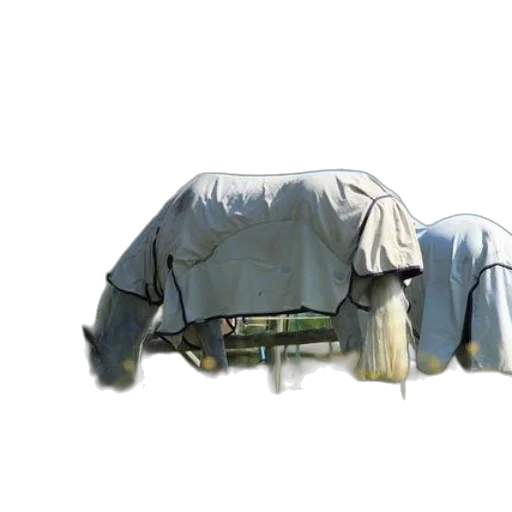 jacket, furniture, car, hair transparent PNG cut-out