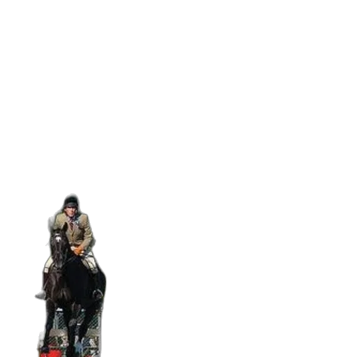 animal, sword, weapon, jacket transparent PNG cut-out