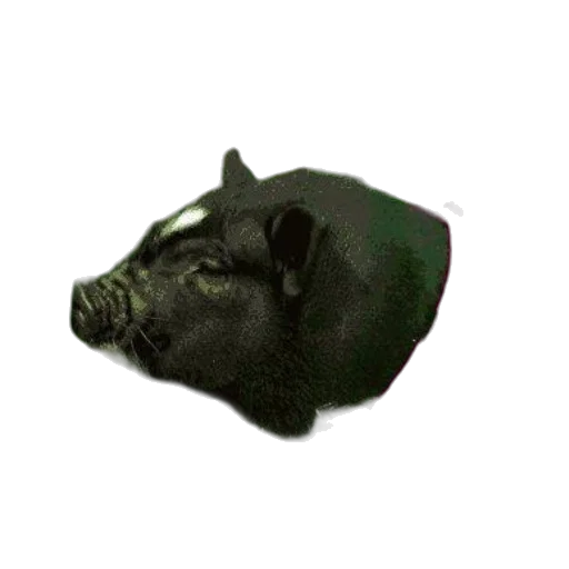 animal, mask, hat, face transparent PNG cut-out