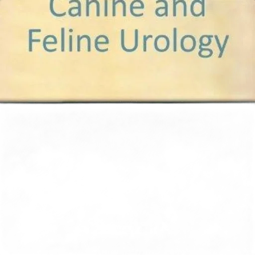 staff, cover, canine, feline transparent PNG cut-out