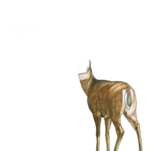 animal, creature, crown, mask transparent PNG cut-out