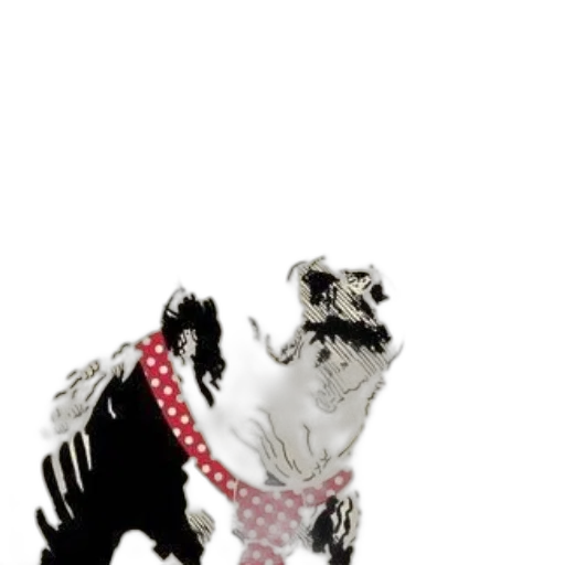 animal, creature, dress, robot transparent PNG cut-out