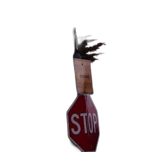 staff, hair, weapon, bottle transparent PNG cut-out