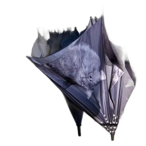 umbrella, dragon, jewelry, crown transparent PNG cut-out