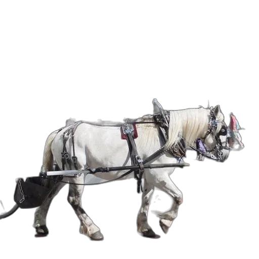 animal, staff, robot, weapon transparent PNG cut-out