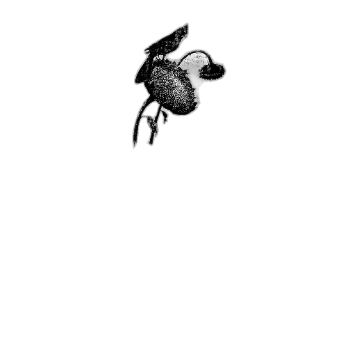 animal, creature, flower, mask transparent PNG cut-out