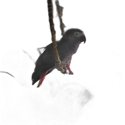 animal, staff, creature, jewelry transparent PNG cut-out