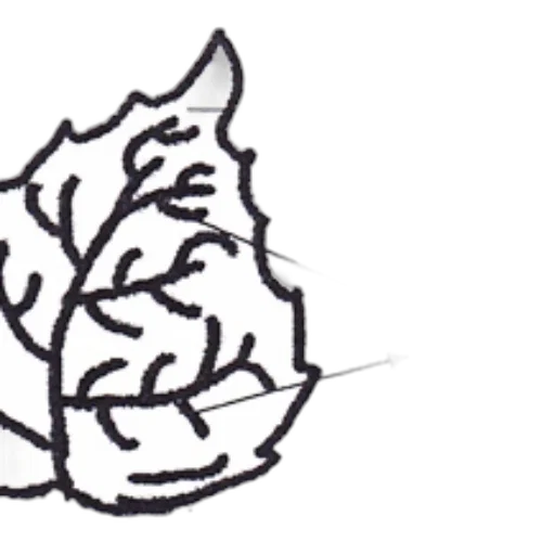 crown, flower, hair, face transparent PNG cut-out