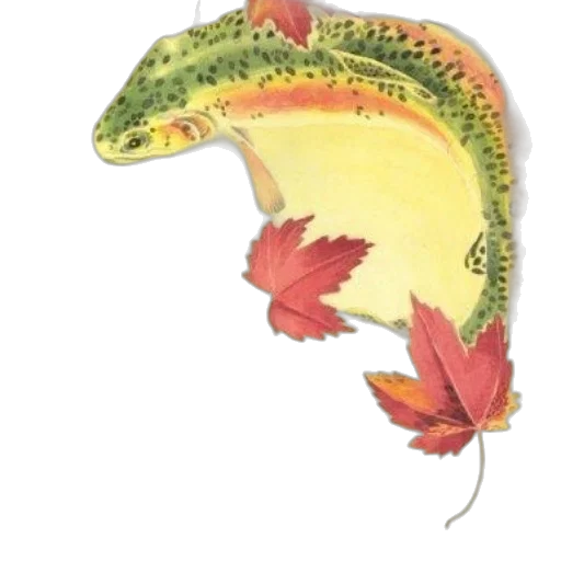dragon, animal, hat, creature transparent PNG cut-out