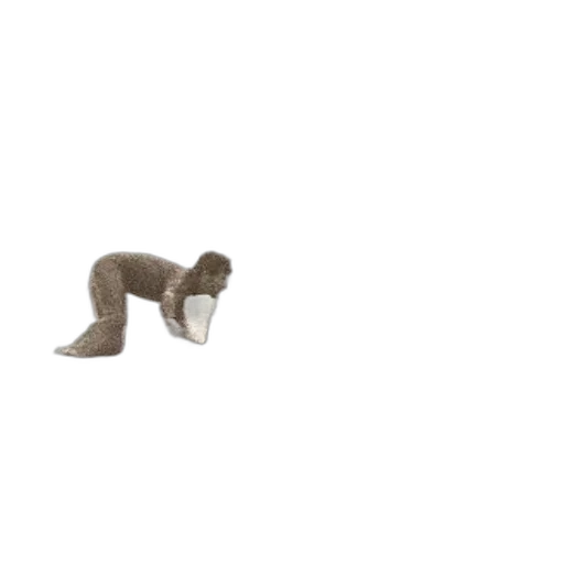 animal, furniture, staff, creature transparent PNG cut-out