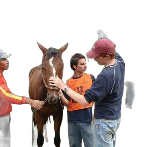hat, staff, photorealistic, group transparent PNG cut-out