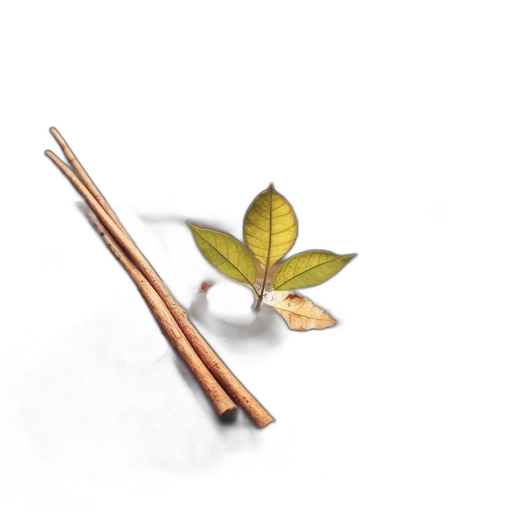 staff, weapon, jewelry, umbrella transparent PNG cut-out