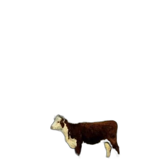 animal, creature, staff, food transparent PNG cut-out
