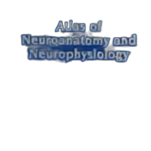 cover, atlas, neuroanatomy, neurophysiology transparent PNG cut-out
