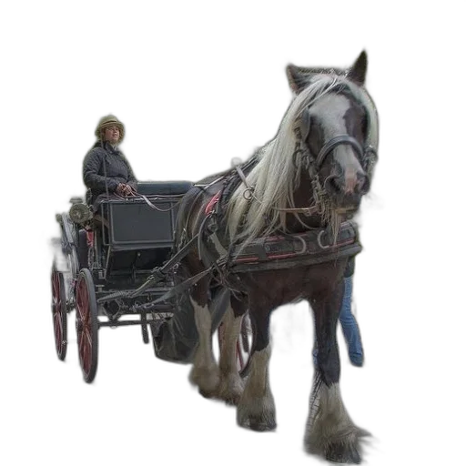 car, animal, staff, robot transparent PNG cut-out