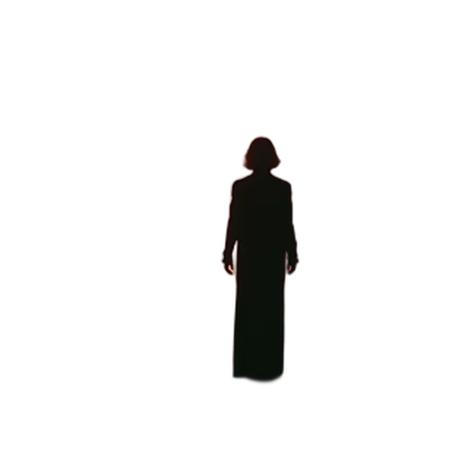 dress, staff, jacket, umbrella transparent PNG cut-out