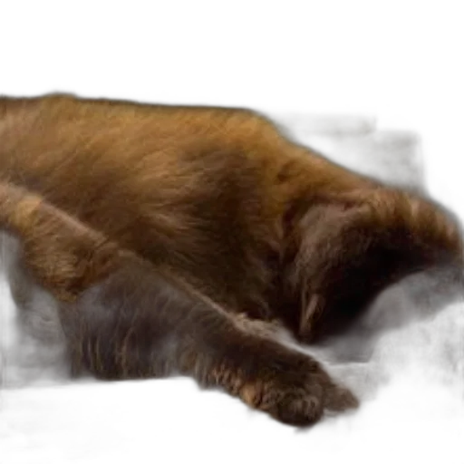 animal, creature, hair, staff transparent PNG cut-out