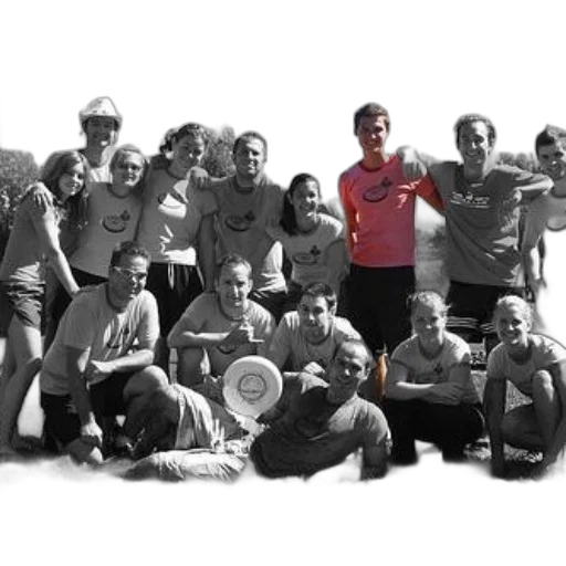 staff, group, people, posing transparent PNG cut-out