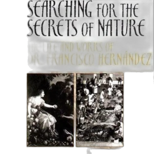 searching, secrets, nature, life transparent PNG cut-out