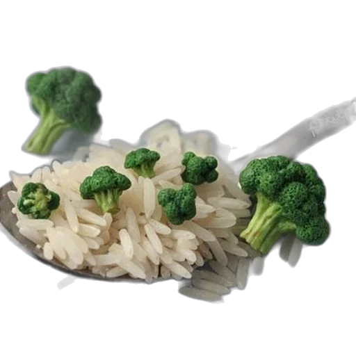 food, crown, weapon, animal transparent PNG cut-out
