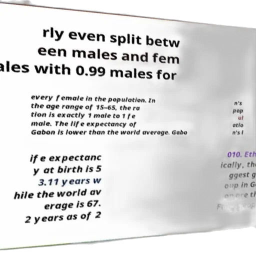hair, vaporwave, text-heavy, image transparent PNG cut-out