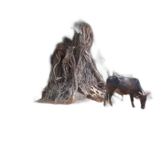 animal, creature, hair, dragon transparent PNG cut-out