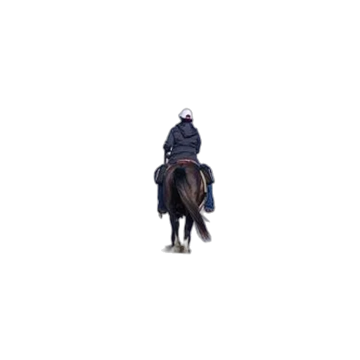 animal, jacket, hat, staff transparent PNG cut-out