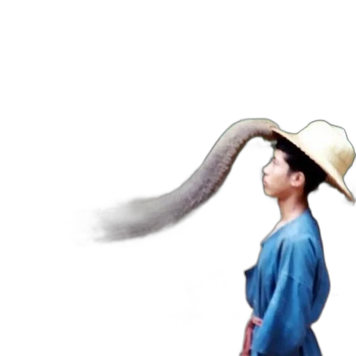 hair, hat, staff, dragon transparent PNG cut-out