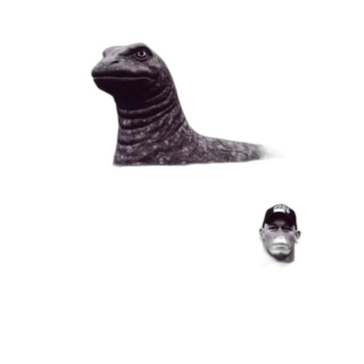 shoes, hat, weapon, animal transparent PNG cut-out