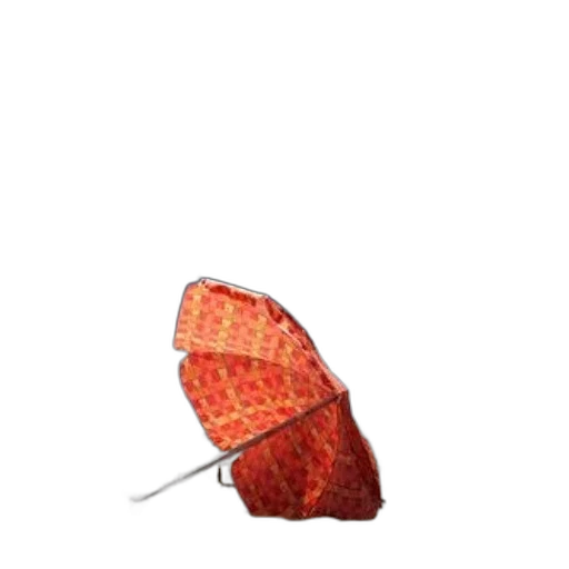 umbrella, food, hat, jacket transparent PNG cut-out