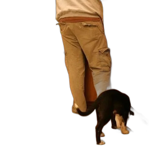 staff, jacket, animal, creature transparent PNG cut-out
