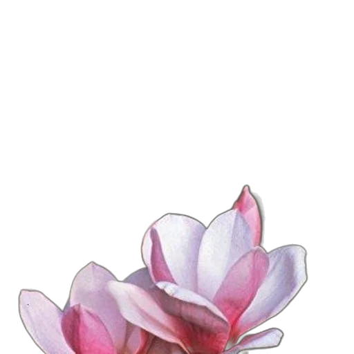 flower, crown, jewelry, staff transparent PNG cut-out