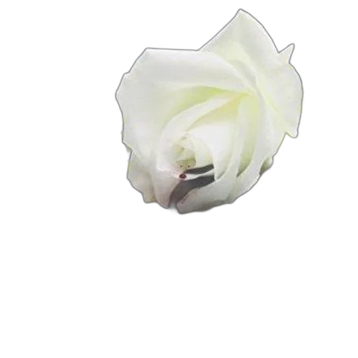 flower, jewelry, crown, face transparent PNG cut-out