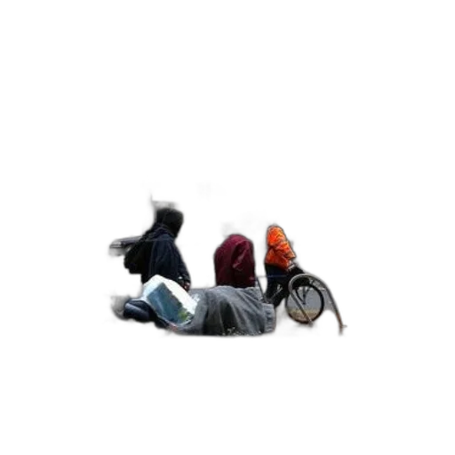 hat, shoes, animal, jacket transparent PNG cut-out