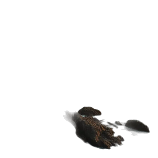 animal, creature, hair, shoes transparent PNG cut-out