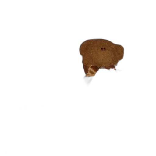 hat, food, animal, hair transparent PNG cut-out