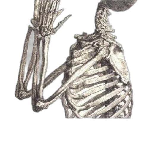 jewelry, staff, robot, jacket transparent PNG cut-out