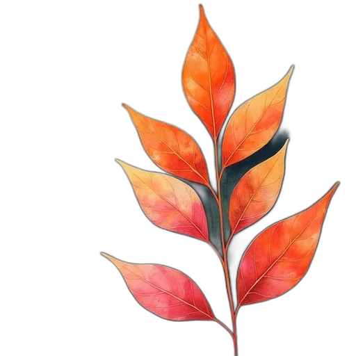 tree, flower, crown, watercolor transparent PNG cut-out