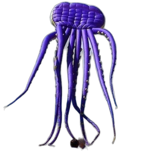 hat, creature, animal, crown transparent PNG cut-out