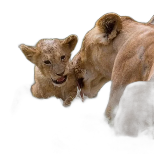 animal, creature, photorealistic, concept art transparent PNG cut-out