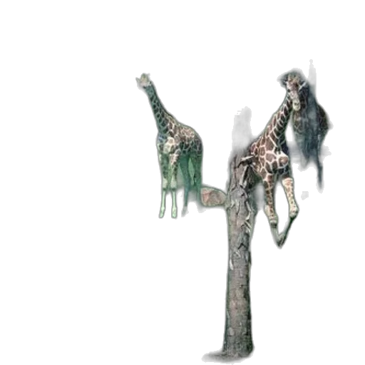 animal, creature, tree, dragon transparent PNG cut-out