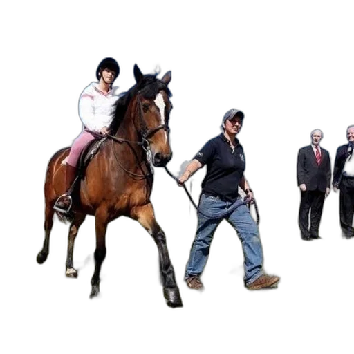 staff, animal, jacket, concept art transparent PNG cut-out